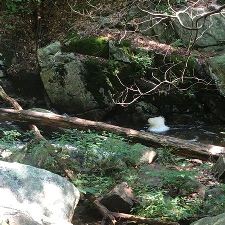 You can actually walk across the lake on the long deck bridge that spans the middle. Schooleys Mountain County Park (Morristown) - 2020 All You ...