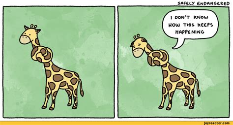 Giraffe Puns