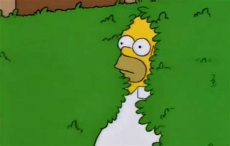 Even Homer Simpson Uses That  Of Himself Hiding In The Bushes