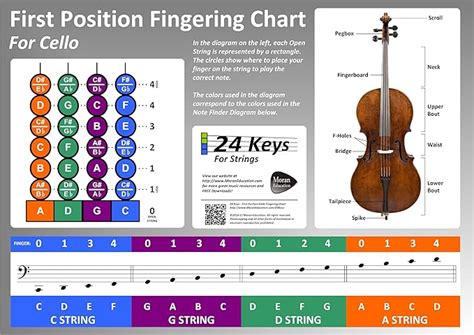 First Position Cello Fingering Chart Poster Amazonca Office Products