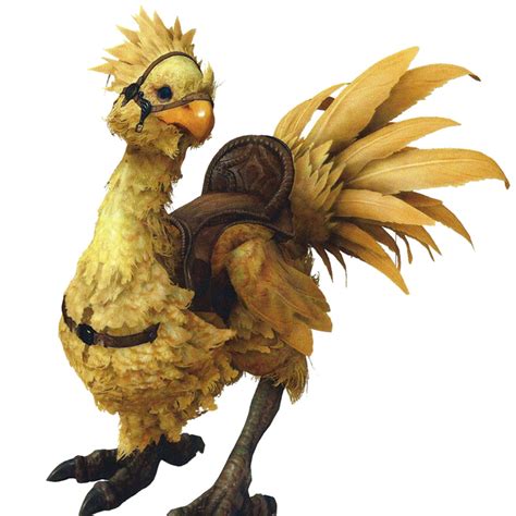 Steam Community Guide How To Get A Chocobo