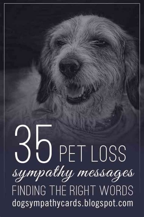 20 Touching Pet Sympathy Messages To Help Ease The Pain Of Loss Artofit