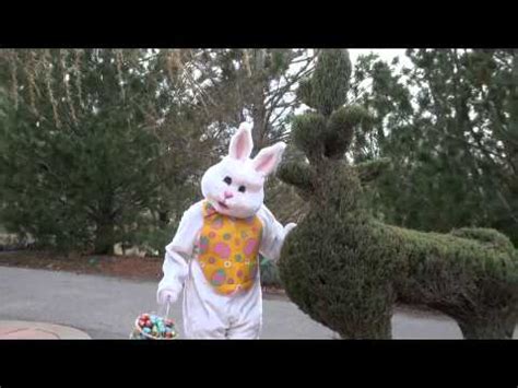 From easter +‎ bunny, calque of german osterhase (literally easter hare). Easter Bunny - YouTube