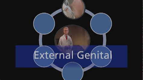 External Male Genital Examination Urology Youtube