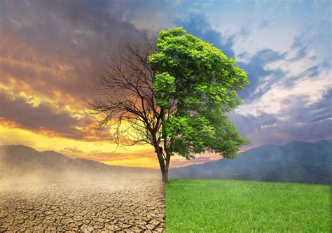 Climă — clímă, clime, s.f. Saúde em risco crescente com o clima mais quente