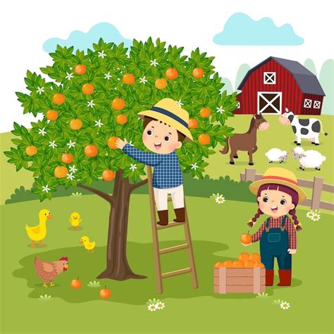Premium Vector Cartoon Of Little Boy And Little Girl Picking Oranges