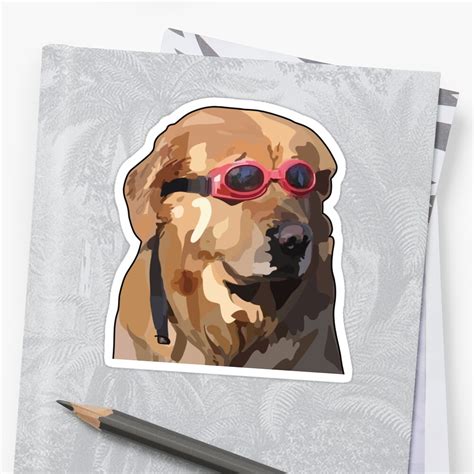 Dog Wearing Goggles Meme And Mood Sticker By Mejessieandari Redbubble
