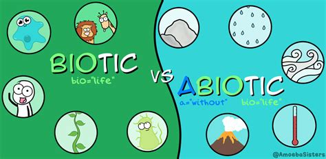 Biotic Vs Abiotic Factors Science With The Amoeba Sisters
