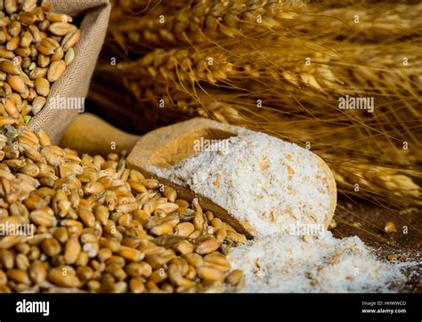 Milling Wheat Cereals Grain Ingredients Into Flour Close Up Stock Photo