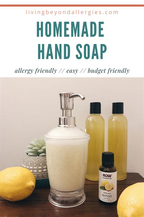 Diy Liquid Hand Soap For Eczema Idalias Salon