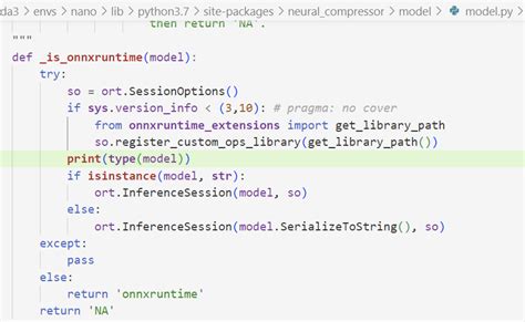 Neural Compressor Can T Quantize Onnx Modelproto Exceeds Maximum My XXX Hot Girl