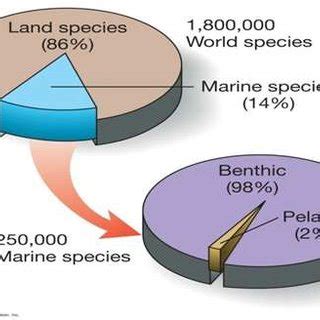 (PDF) Marine Organisms as Biomedical Resources Enrich Quality of Life