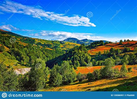 Beautiful Countryside Landscape With Forested Hills And Haystacks On A
