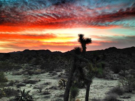 Sunrise Joshua Tree National Monument National Monuments Monument