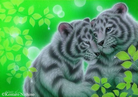 The Art Of Kentaro Nishino Baby Tigers Animals