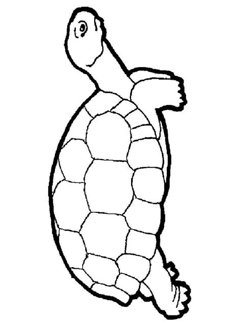 Print this color page back to the color pages. Turtles coloring pages. Download and print turtles ...