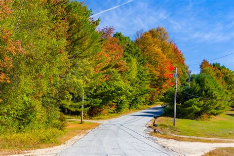 Road And Autumn Trees Free Stock Photo Public Domain Pictures