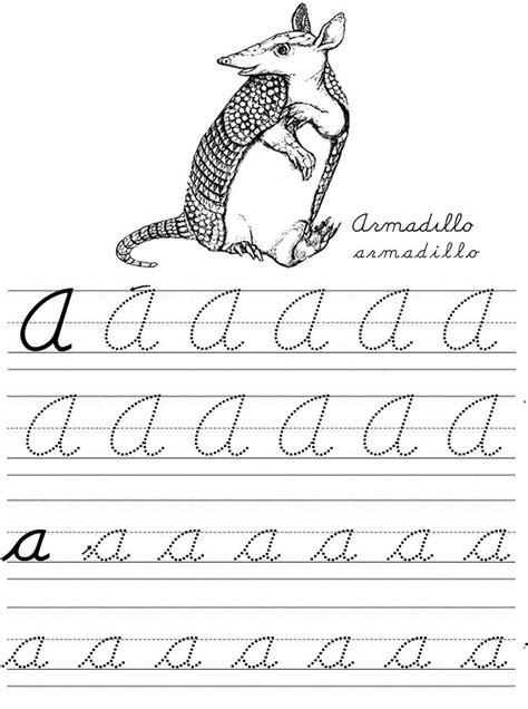 draw and write prompts | Teaching cursive, Learning cursive, Cursive