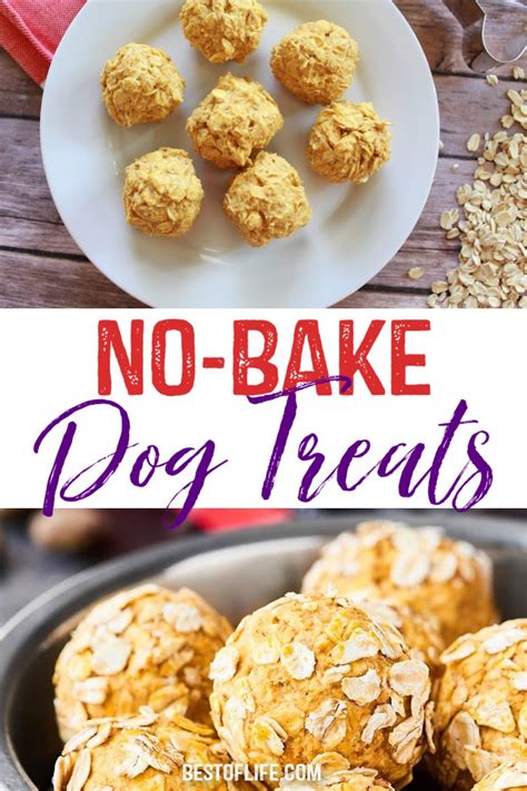 Easy No Bake Dog Treats For Your Fur Baby Best Of Life
