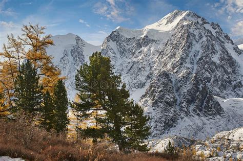 Altai Mountains Russia Siberia Stock Photo Image Of Landscape