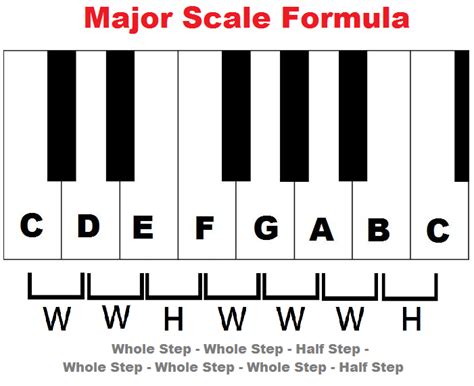 Why Scales Are Important And How To Build A Major Scale