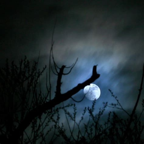 10 Things Moon Photography Tips Moon Nasa Science