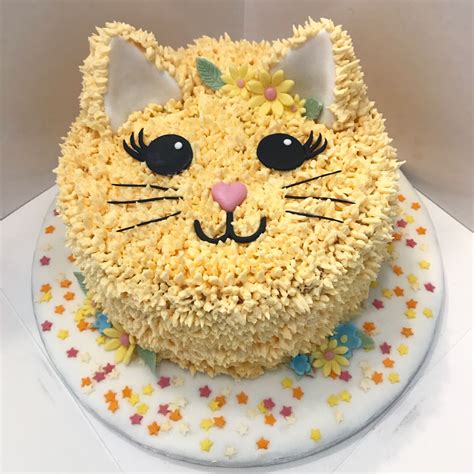 Cute Cat Face Birthday Cake Animal Birthday Cakes Birthday Cake For