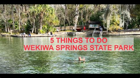 Things To Do At Wekiwa Springs State Park Florida Nomadik Boxes