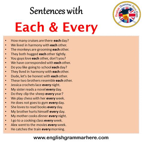 Sentences With Each And Every Each And Every In A Sentence In English