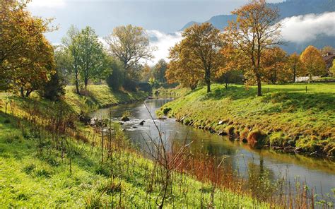 Landscape Photography Of Green Forest And River Hd Wallpaper