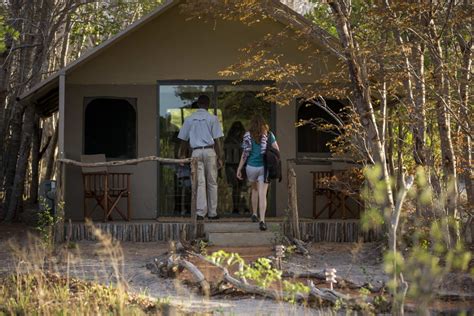 Iganyana Tented Camp Hwange National Park Zimbabwe 2023 2024