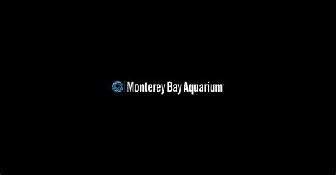 Charitable Giving The Monterey Bay Aquarium