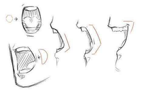 Pin By Andrew Sung On References Art Reference Mouth Drawing