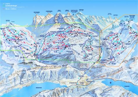 Grindelwald Ski Resort Piste Map Grindelwaldfirst And Kleine Scheideggmännlichen