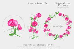 Sweet Pea Birth Month Flower Clipart April Birthday Flower