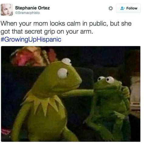 When Your Mom Is Secretely Angry At You Kermit The Frog Know Your Meme