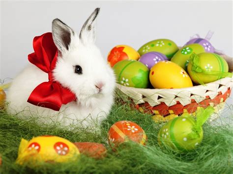 20 Excellent Desktop Backgrounds Easter You Can Download It At No Cost