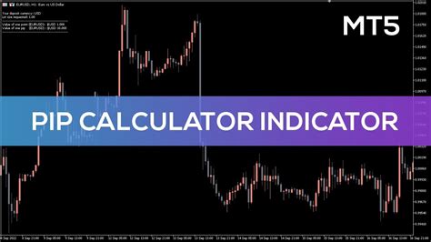 Pip Calculator Indicator For Mt5 Best Review Youtube