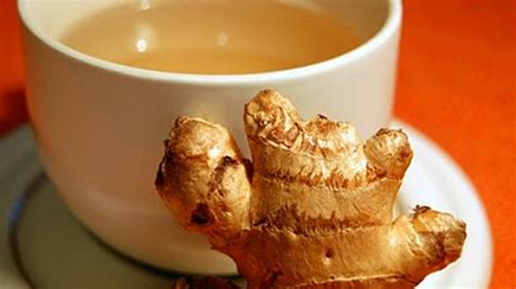 Pupuk npk adalah pupuk buatan yan. Begini Cara Memilih Jahe yang Paling Bagus Buat Minuman ...