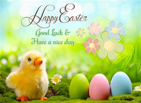 Happy Easter To All Of You Happy Easter Card Happy Easter Happy