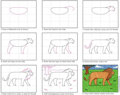 How To Draw A Lion Art For Kids Hub