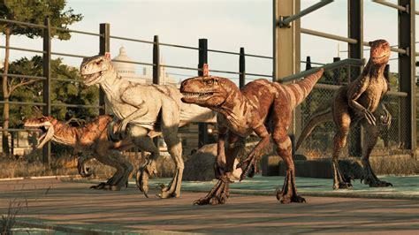 Atrociraptor Jurassic World Evolution Wiki Fandom Jurassic World Jurassic Park World