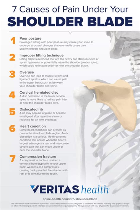 7 Possible Causes Of Pain Under Your Shoulder Blade Infographic Spine