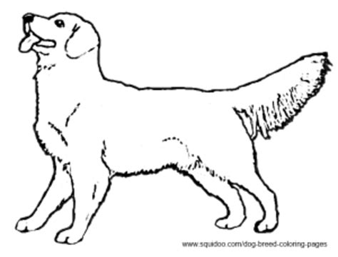 Dog Breed Coloring Pages  HubPages