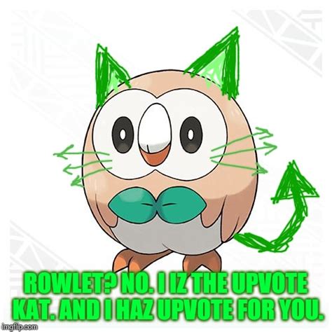 Owl Cat Imgflip