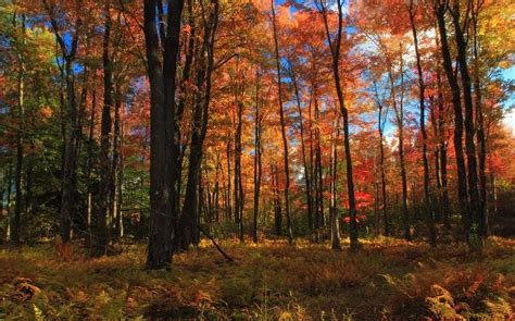 60 Breathtaking Fall Pictures The Photo Argus Fall Images Image Photo