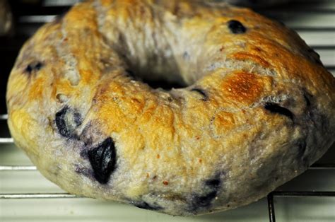 New York Style Blueberry Bagels Diy The Grateful Girl Cooks