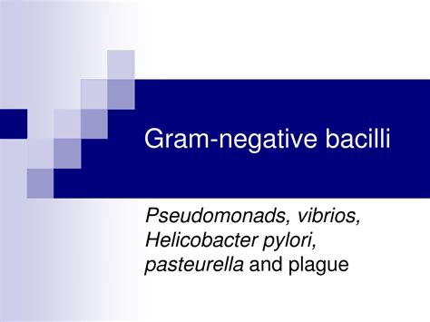 Ppt Important Human Pathogens Of Gram Positive And Gram Negative