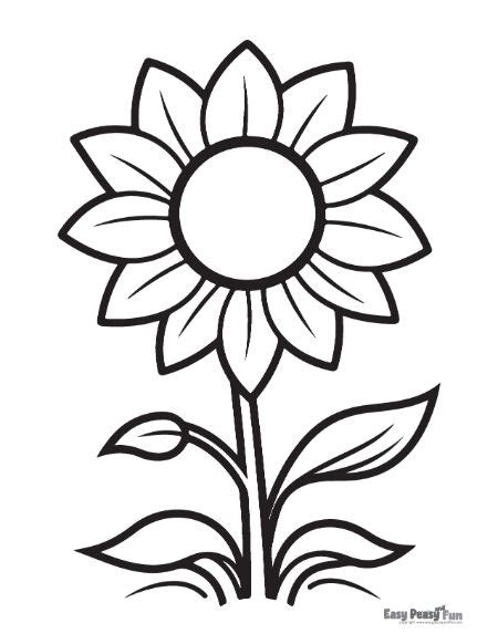 Easy Sunflower Coloring Pages