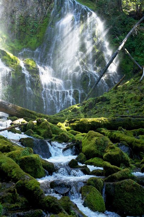 Proxy Falls Oregon By Malcolm Lee Waterfall Photography Beautiful